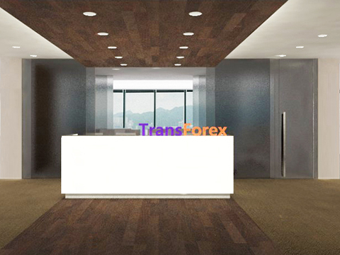 TransForex Office